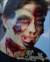 Lonnies_ansigtsmaling-zombiecrawl2011-02